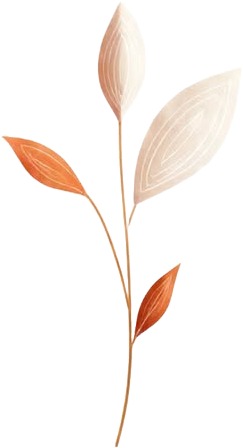 a plant with leaves on a white background.jpg